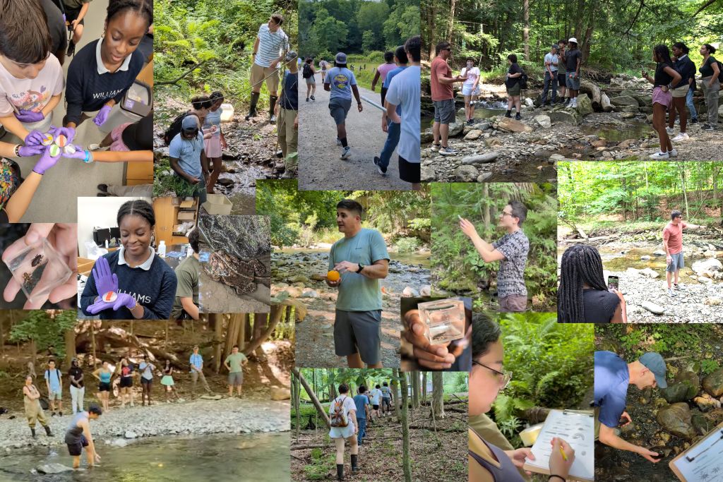 Williams College x talkSTEM: Environmental Field Methods – Summer Science Program 2024