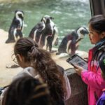 Dallas Teachers Test AI-Powered Tools to Spark STEM Engagement