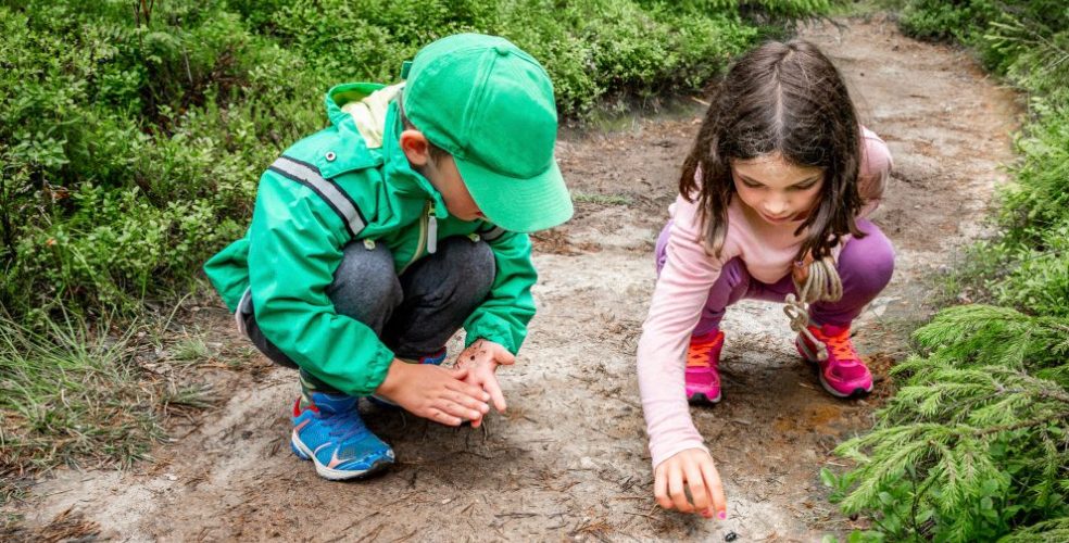 How to Use the Outdoors to Teach STEM this Fall